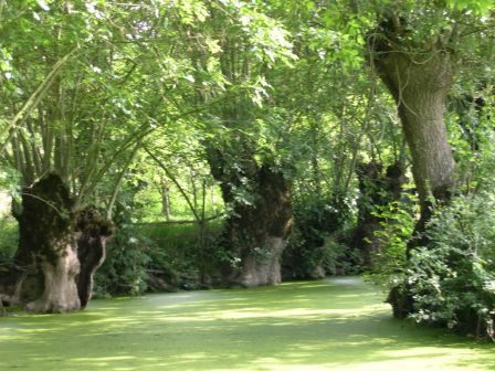 Venise Verte