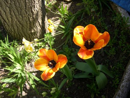 DSCN2763.JPG