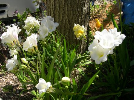 DSCN2765.JPG