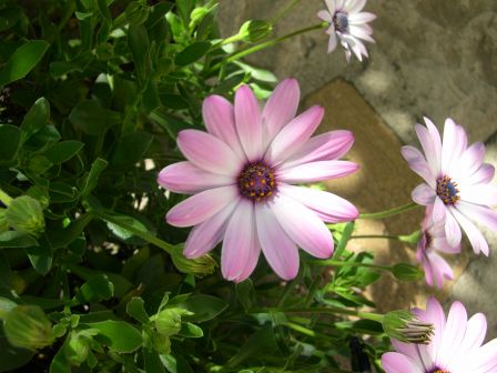 DSCN2773.JPG