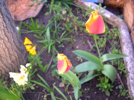 DSCN2775.JPG