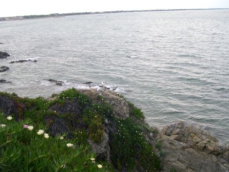 DSCN2955.JPG